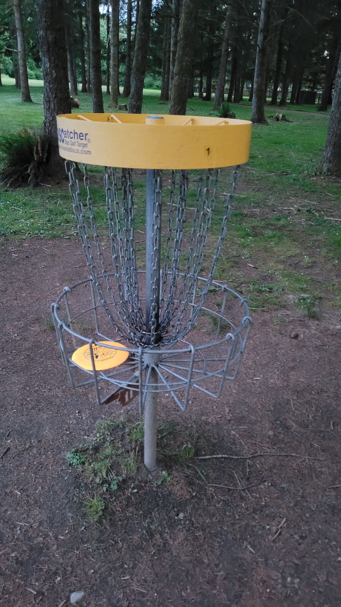 Hole 1/10
