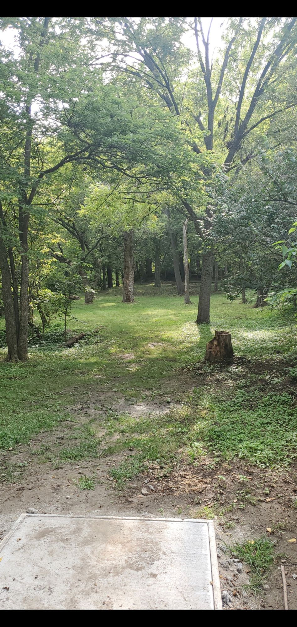 Hole 6