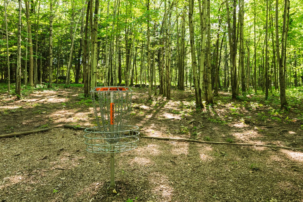 Hole 8 basket