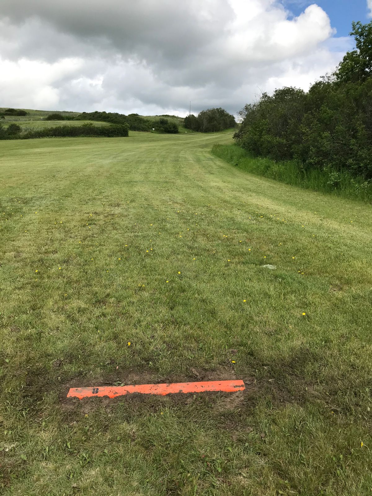 Hole 8. Dog leg right and just up the hill.