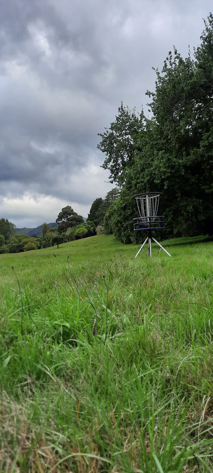 Hole 3 basket