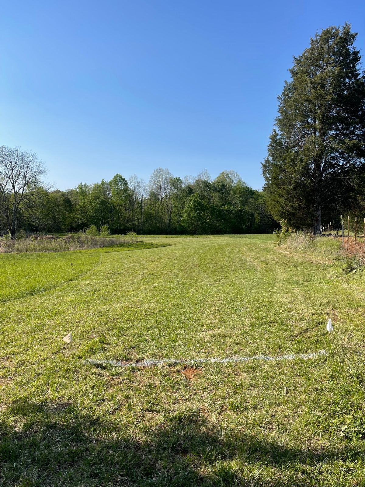 Hole #5