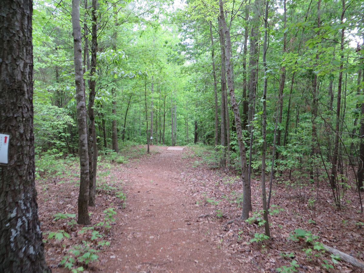 Hole 3