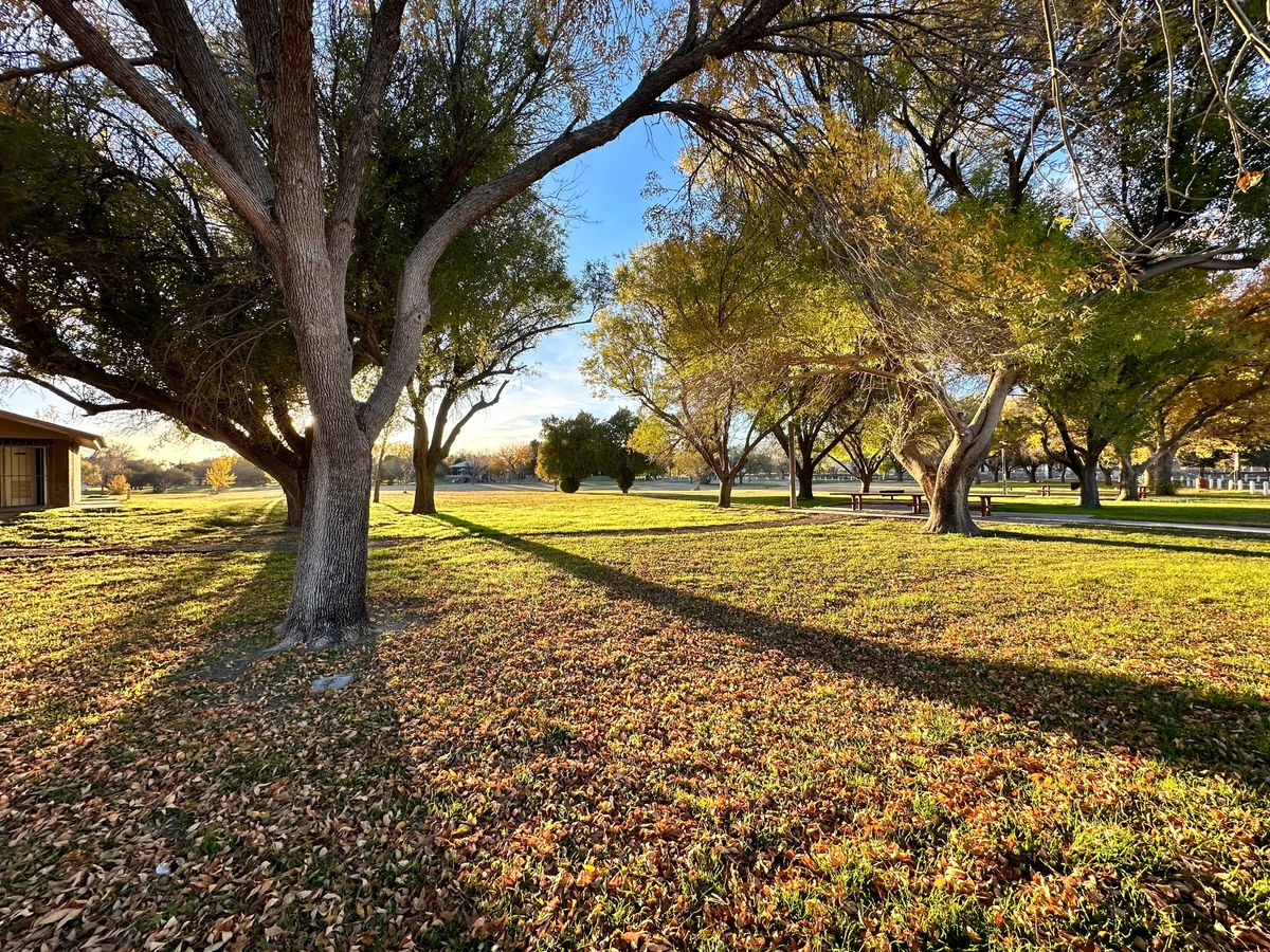 Wooded and open areas.