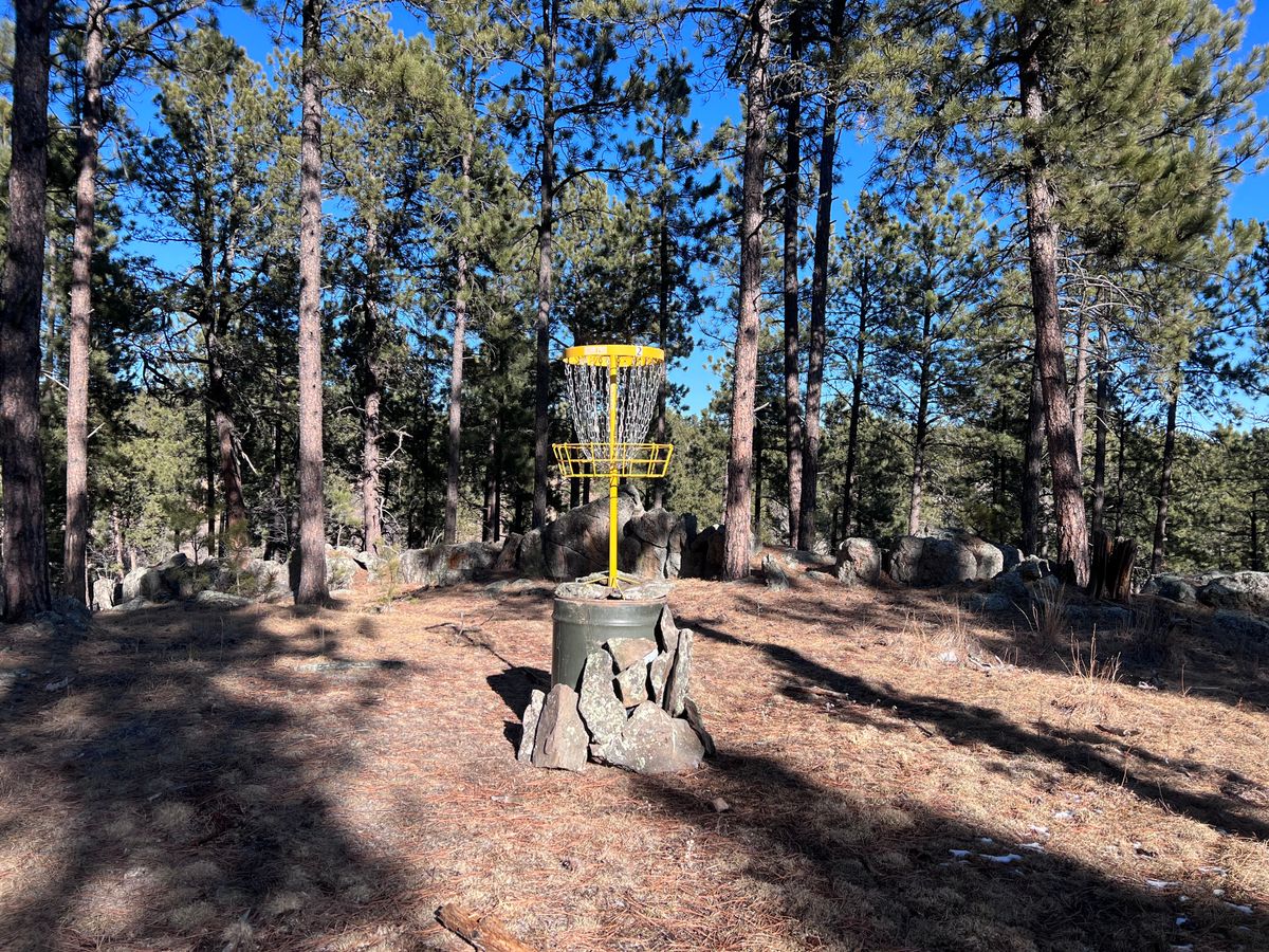 Basket #2 (horseshoe)