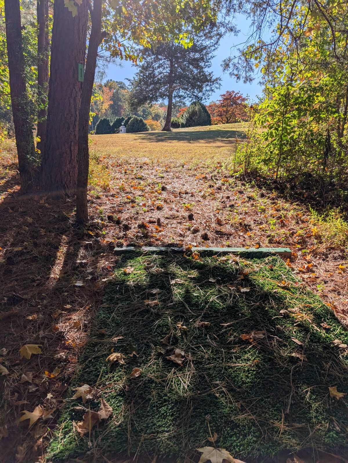 1 Green