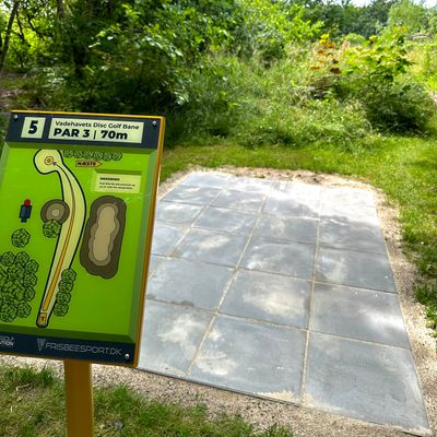 Tee pad at hole 5. - probably the hardest drive to make even though the basket is only 70 m away
