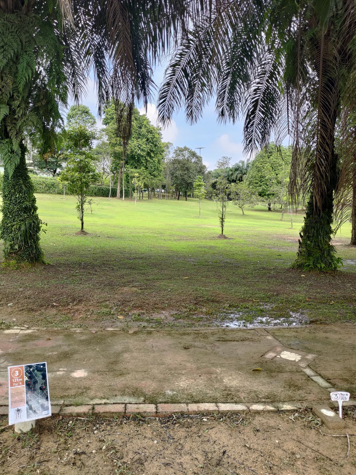Hole 3 teepad