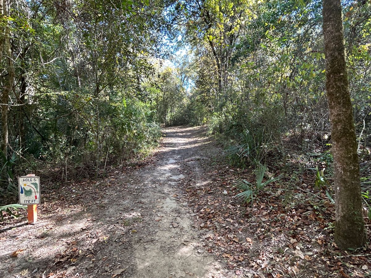 Hole 5 Fairway