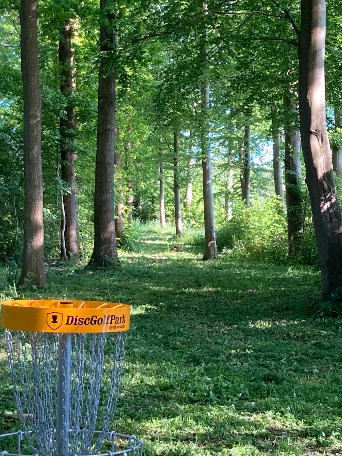 Hole 13