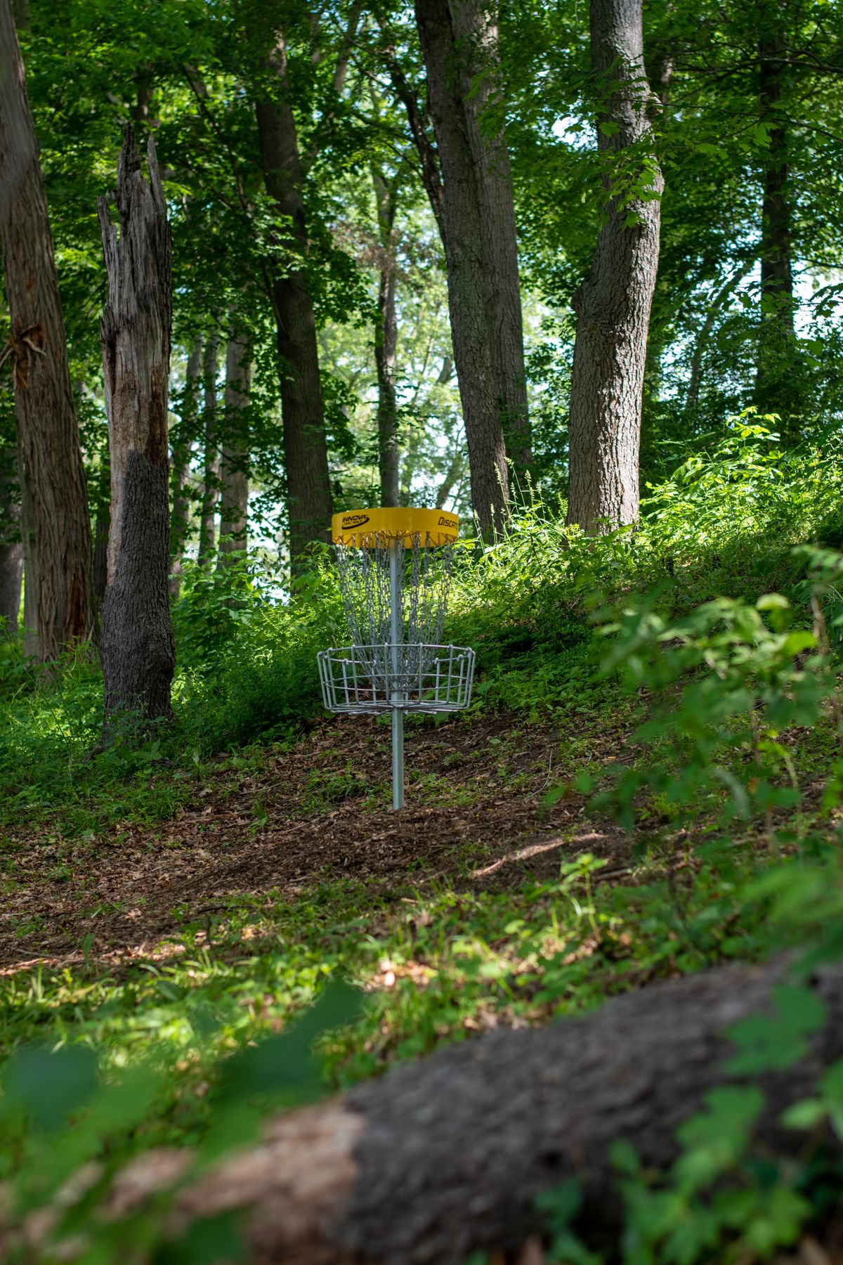 Reverse view of the fairway on Hole #2