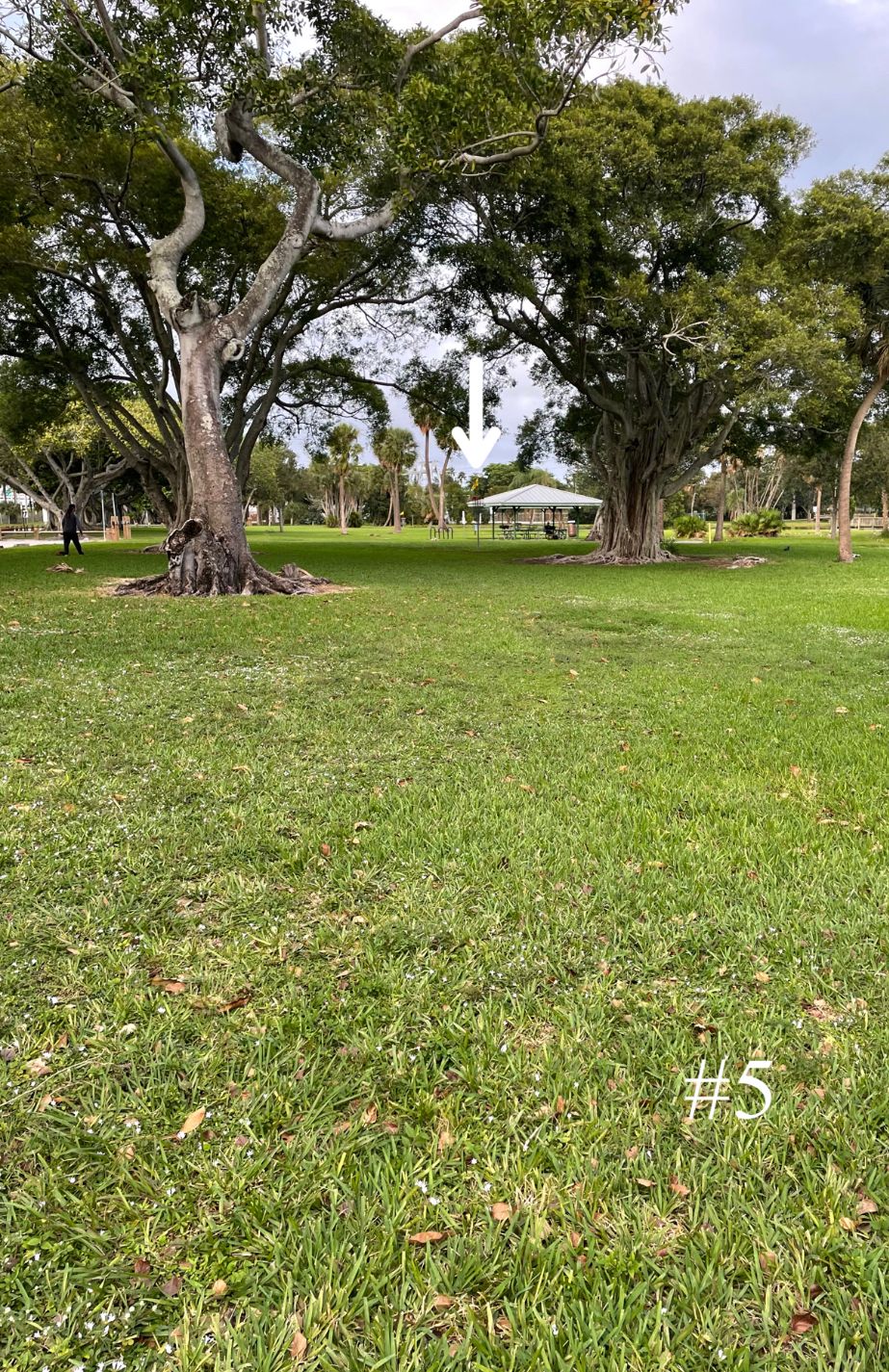 Hole 5 Tee