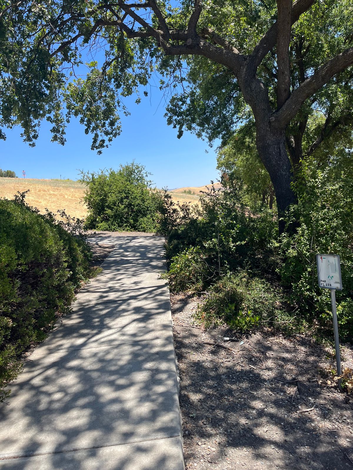 Hole 1 (June 25)