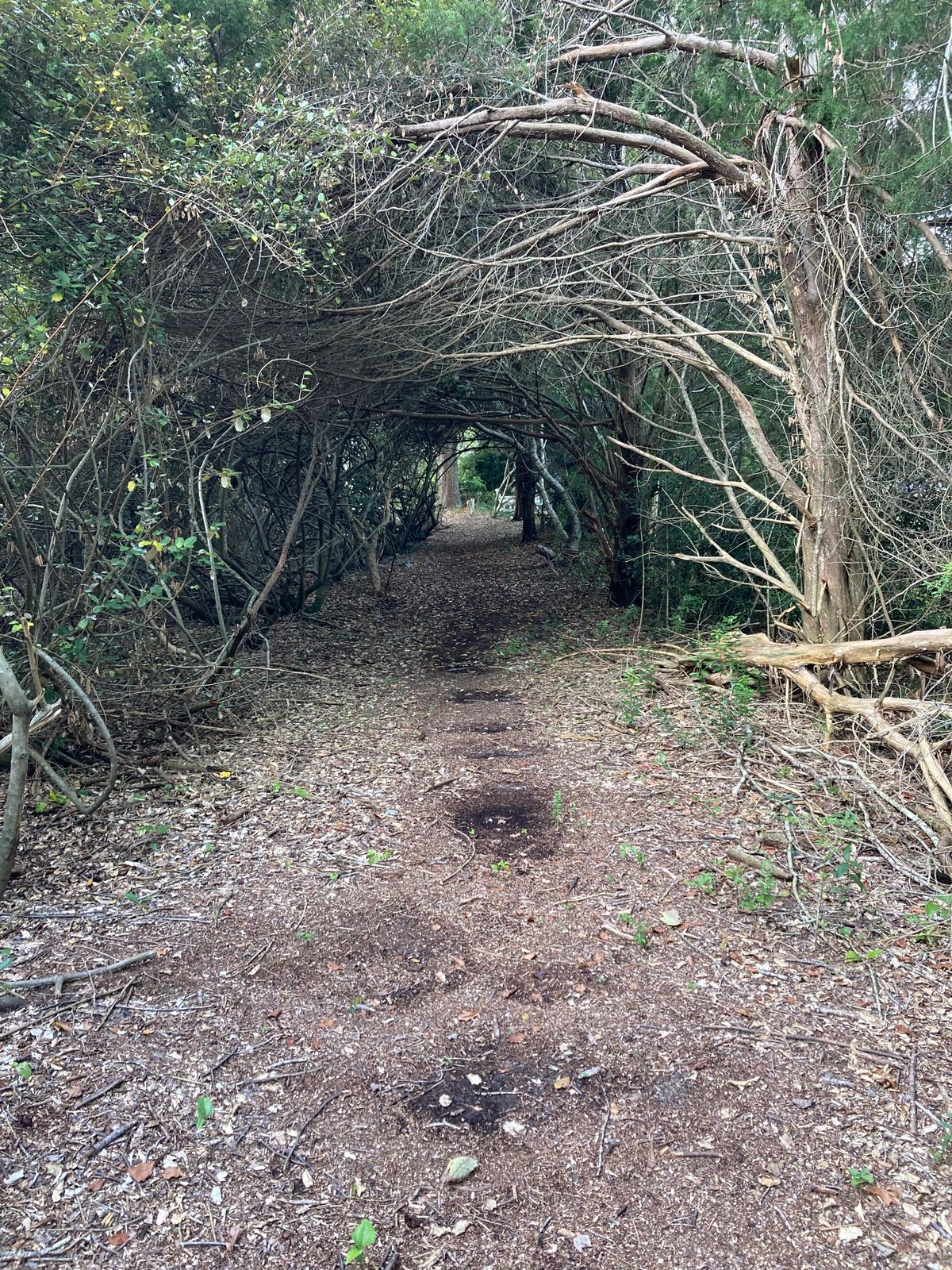 Hole 9 fairway