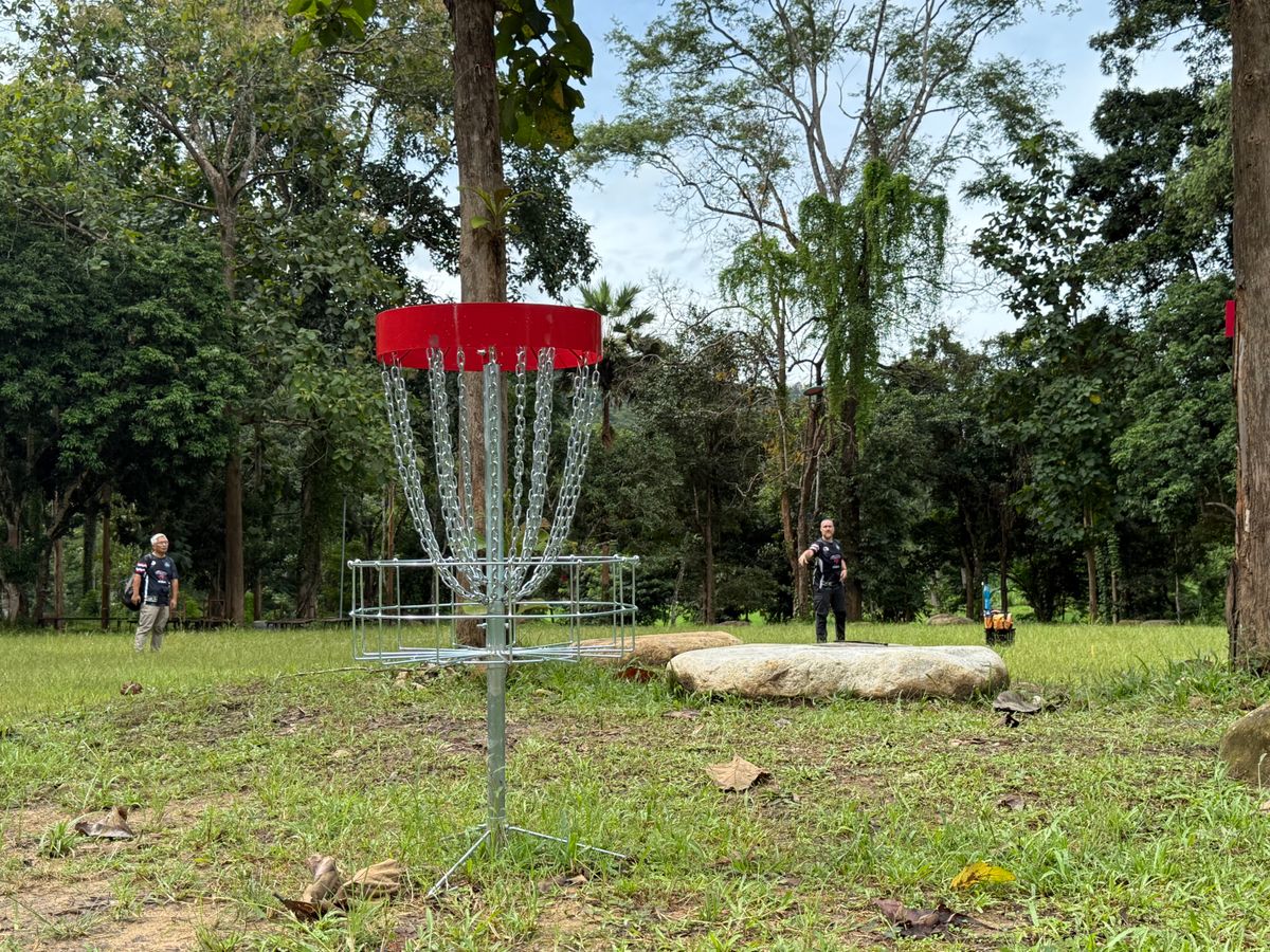 Hole 3 basket