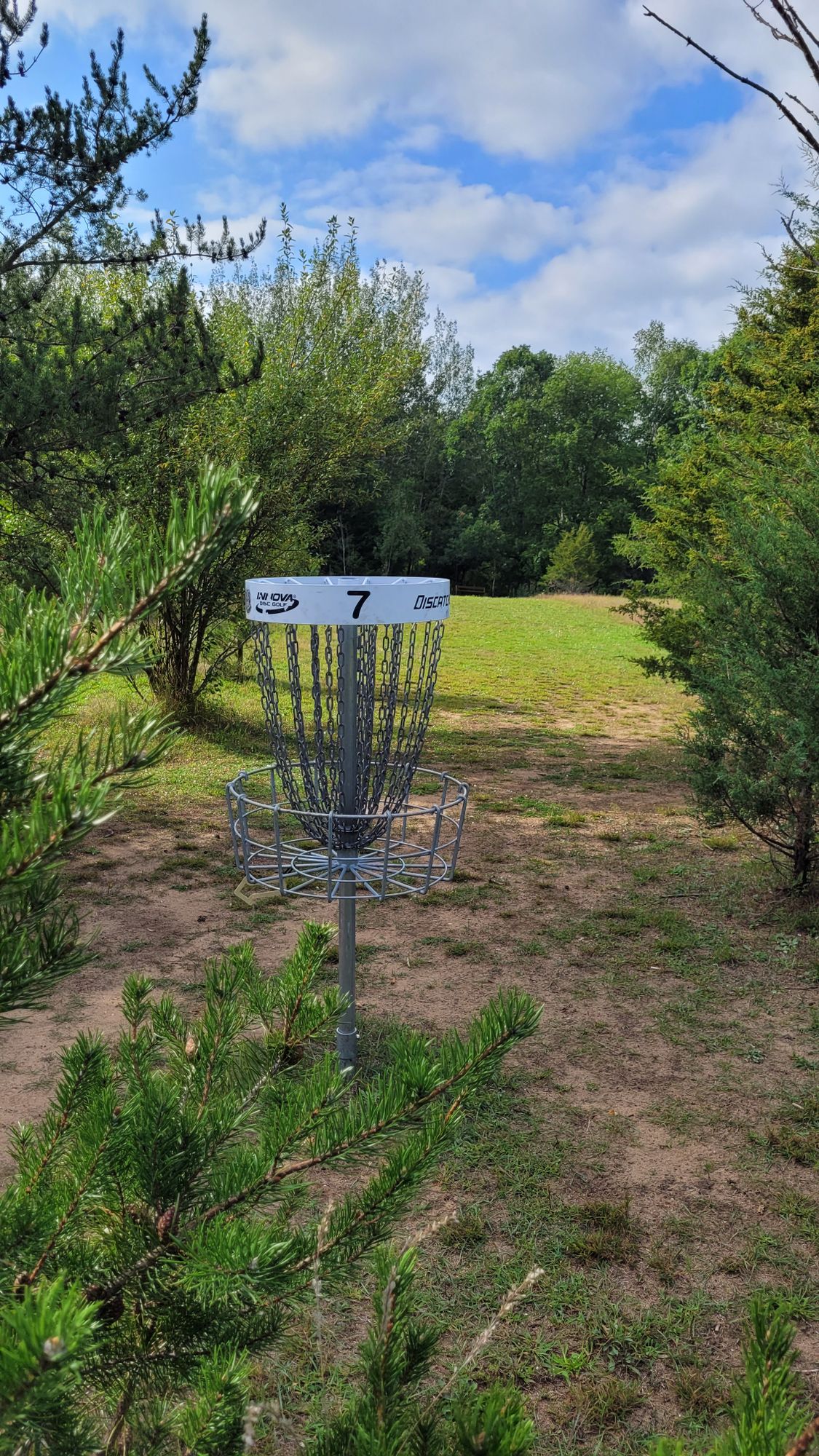 Hole 7 Basket