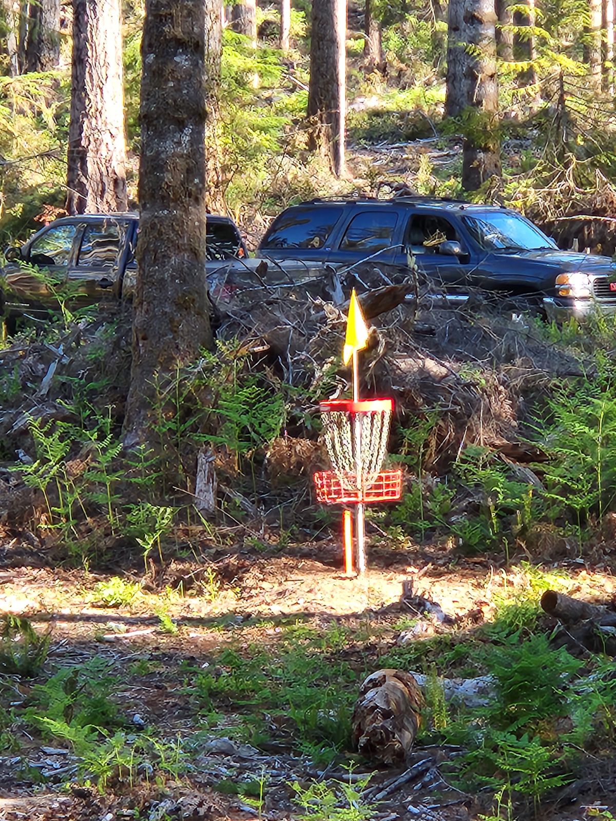 Hole 14 Basket