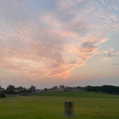 Sunrise sessions.