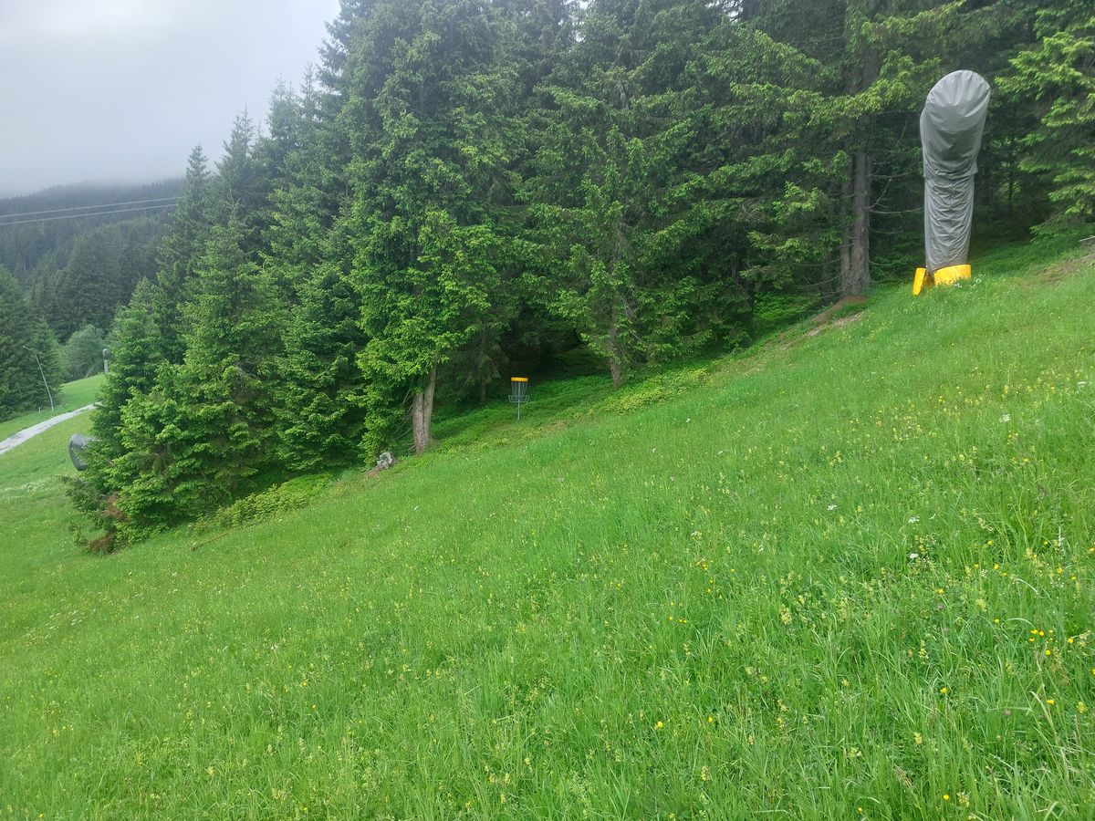 Hole 15
