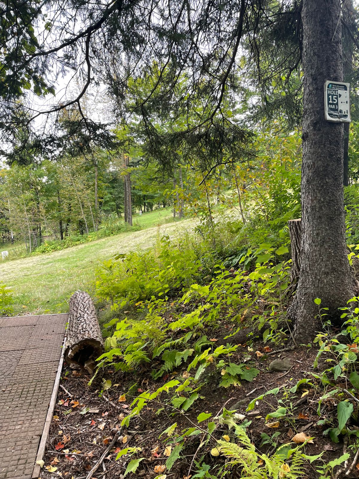 Hole 15