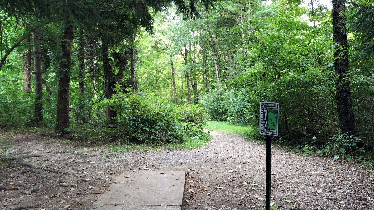 Hole 7