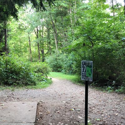 Hole 7
