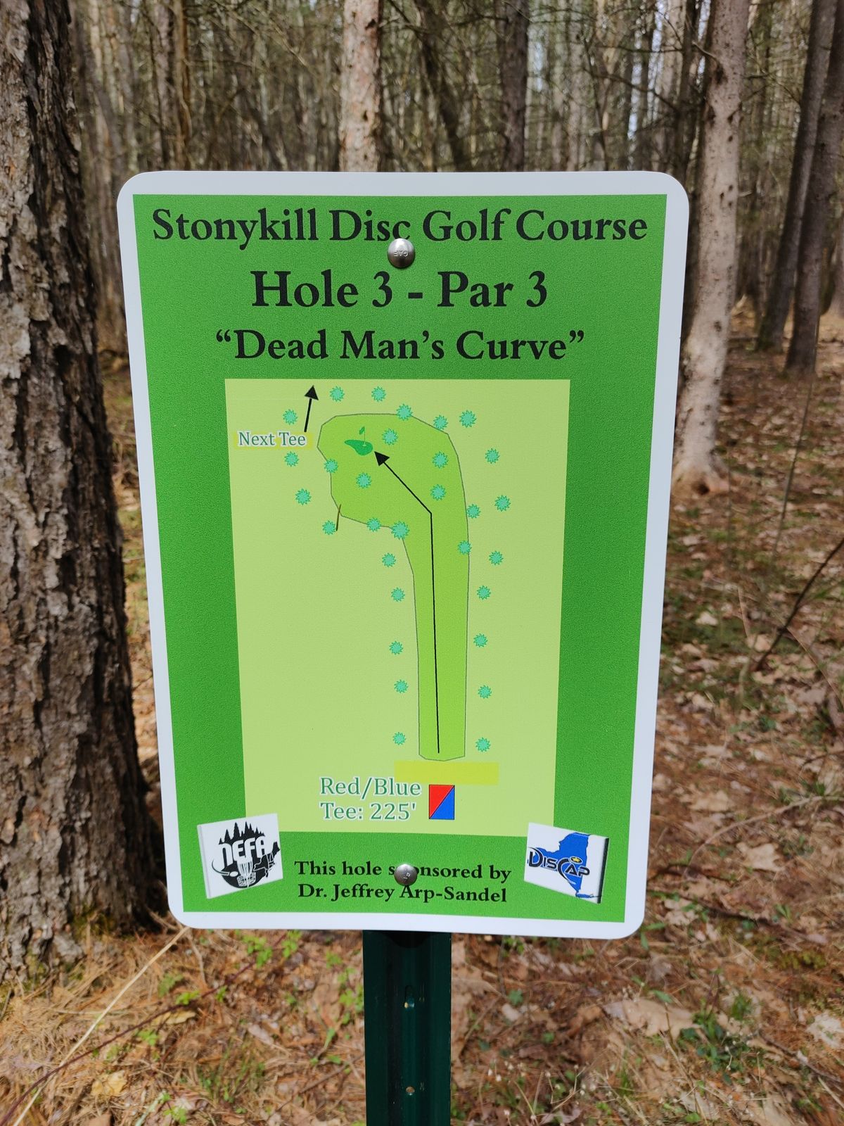 Hole 3 map