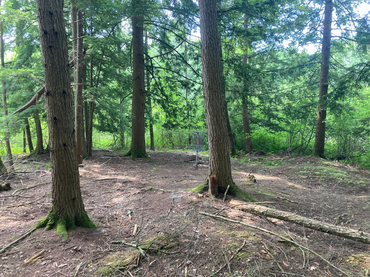 Hole 12s basket