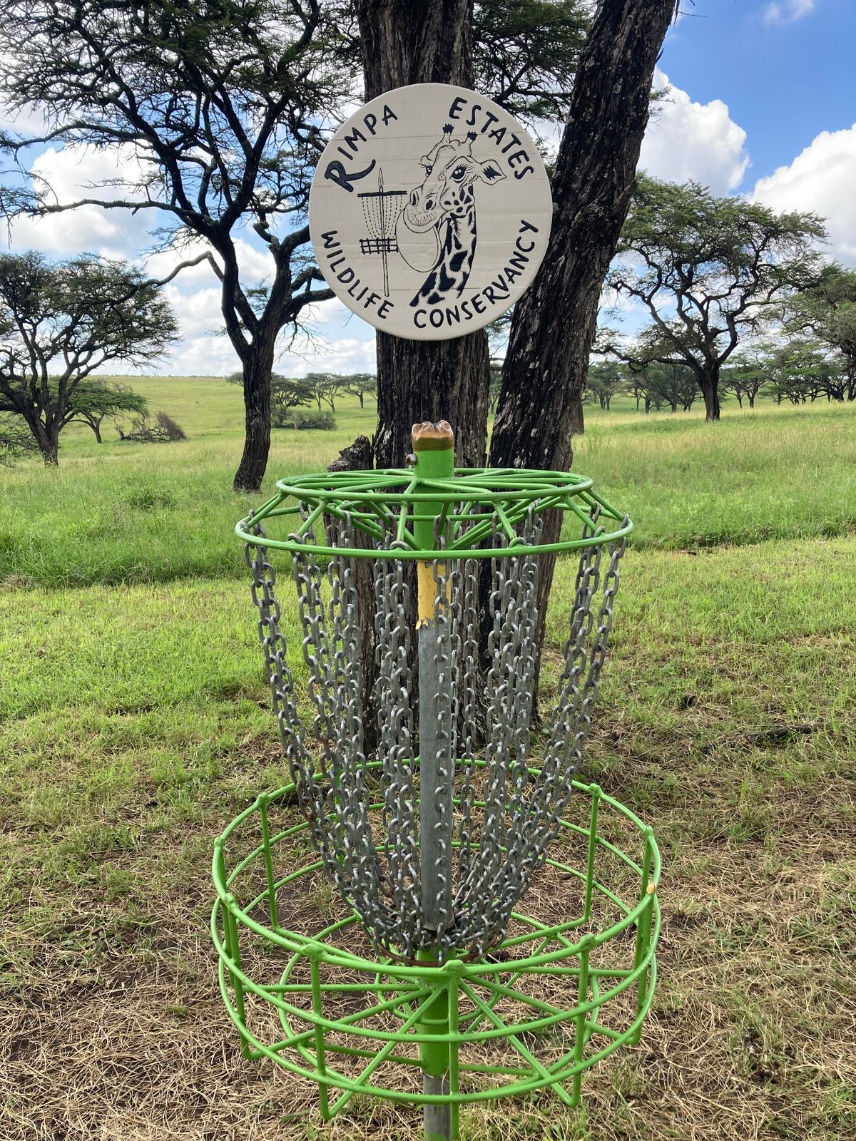 Giraffe sign over basket #9.