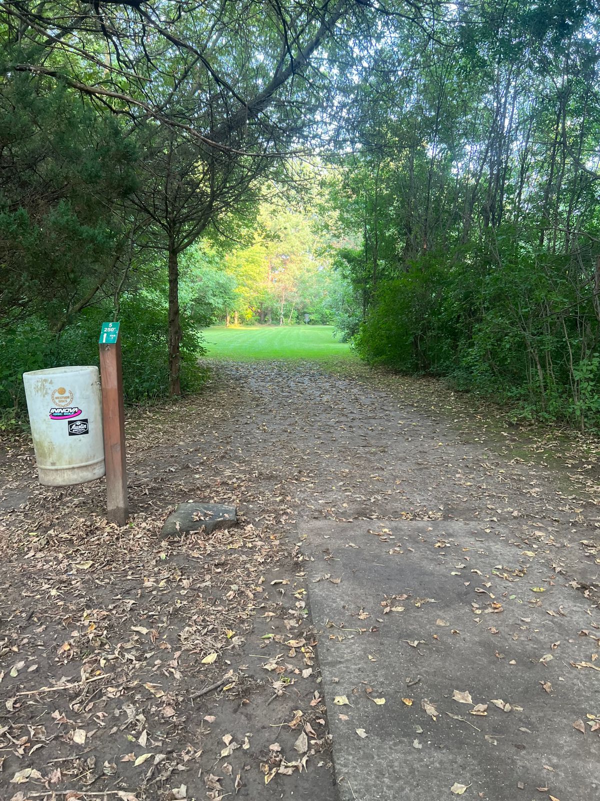 Hole 5: Tee P