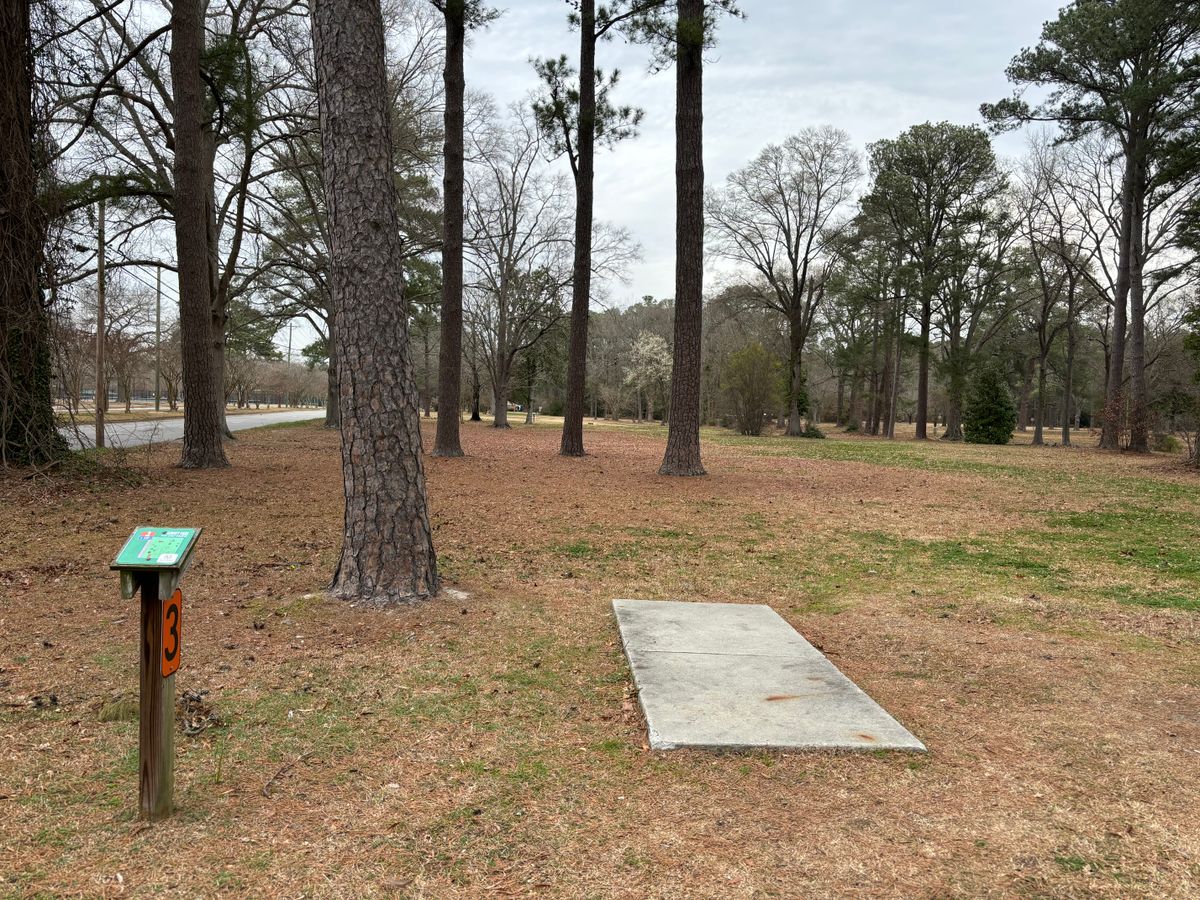 Hole 3 shorts