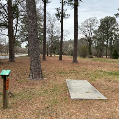 Hole 3 shorts