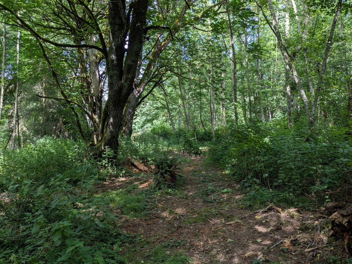 Hole 14 Tee
