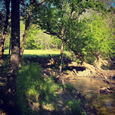 Hole 2