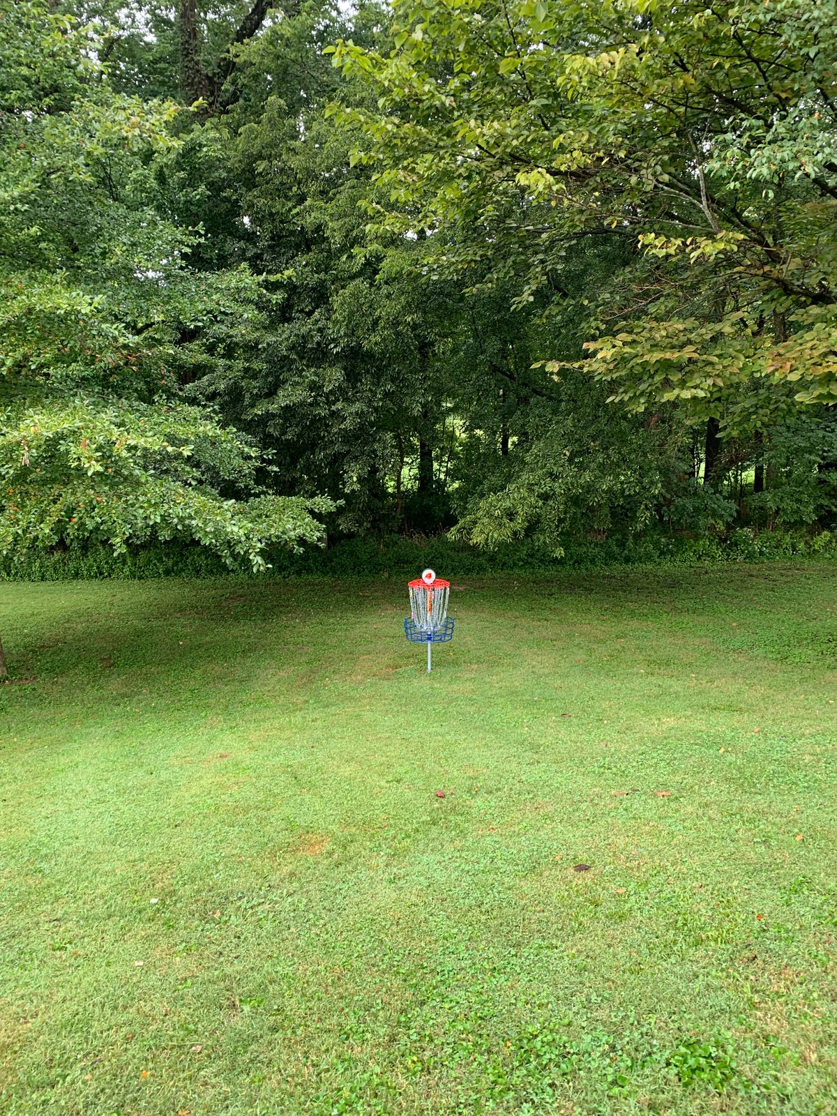 Hole 4 basket
