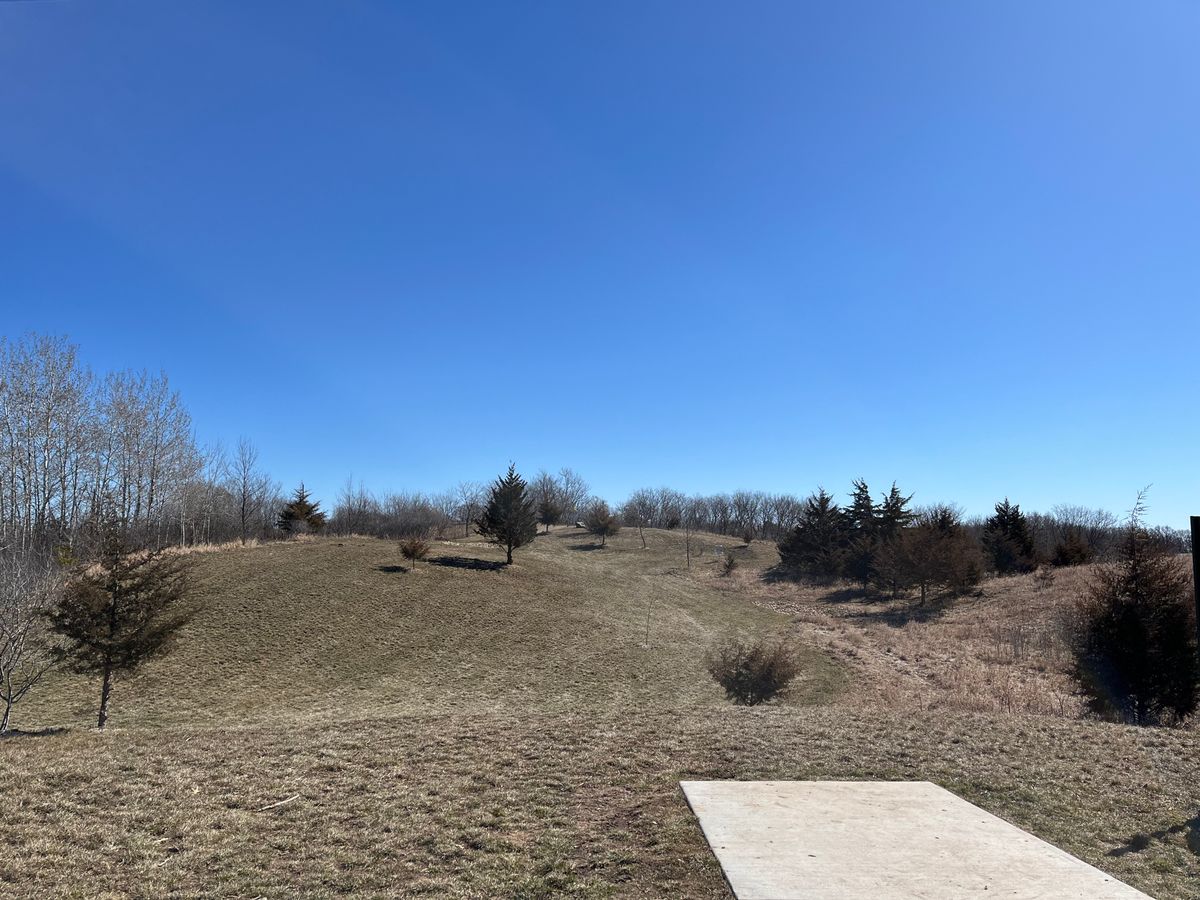 Tee 5 - Evergreen Layout