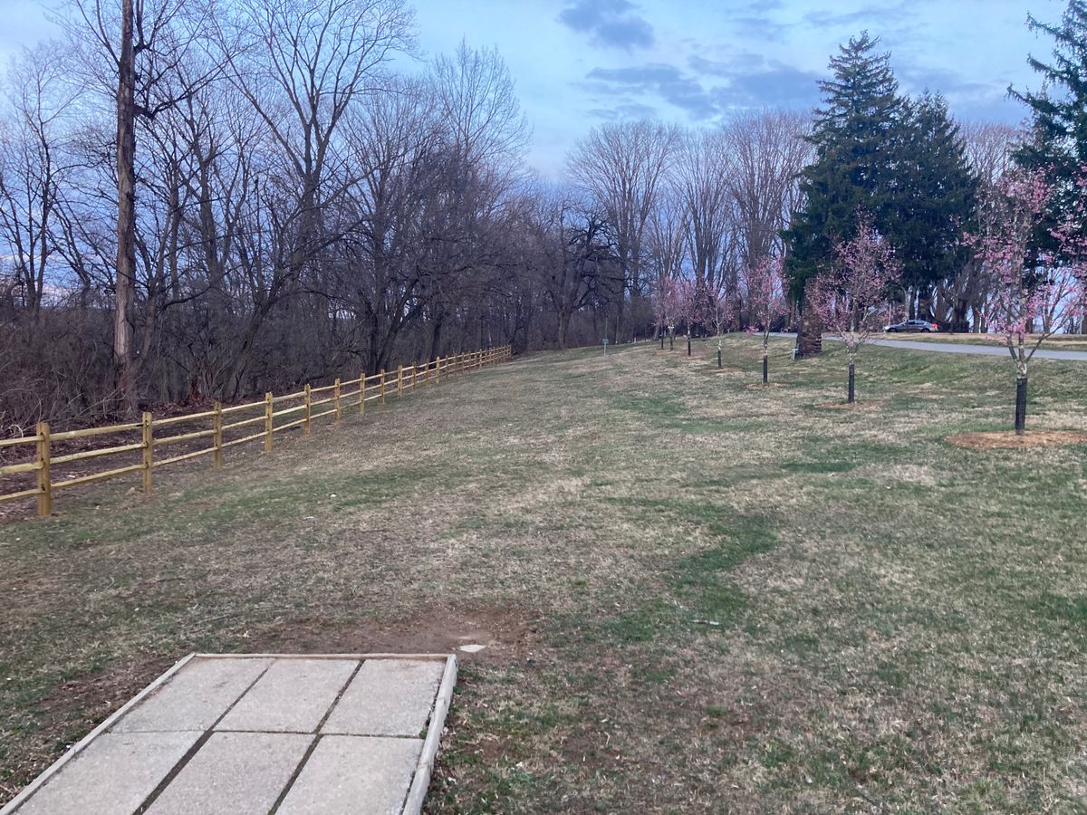 Hole 1 improvements, new split rail fence (OB) and beautiful tree lined fairway.