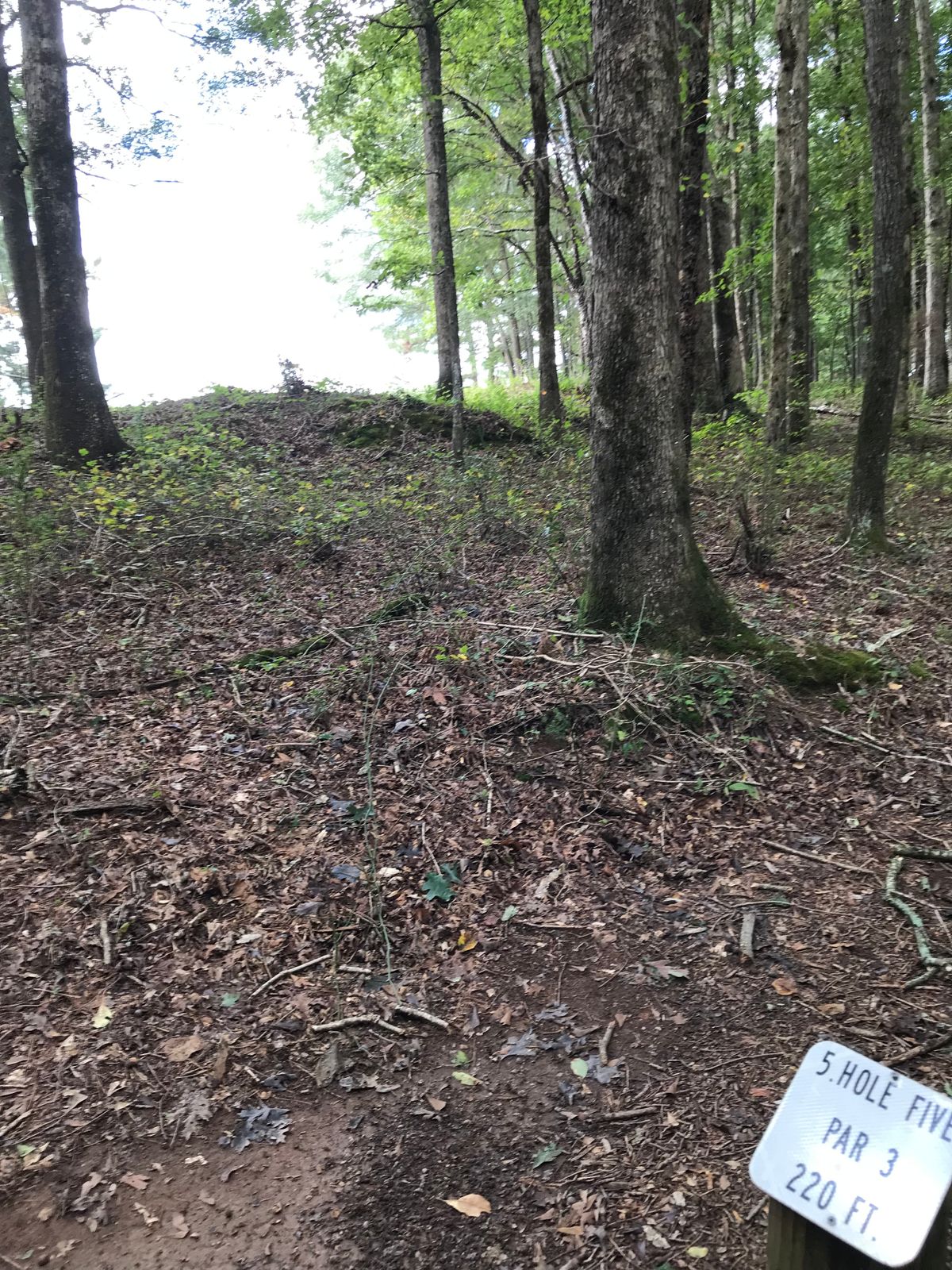 View of Hole 4 basket from Hole 5 tee pad.