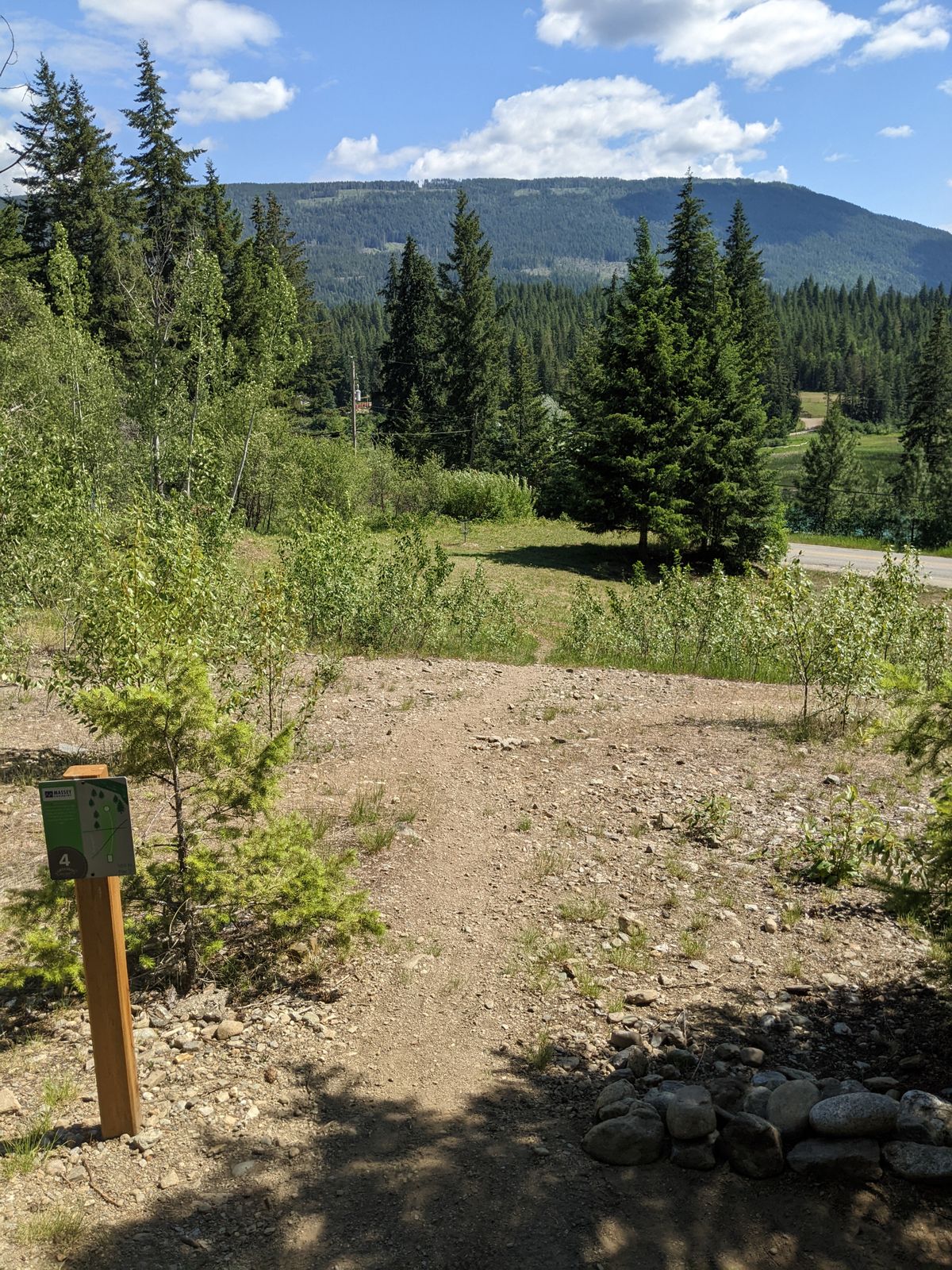 4 tee box
