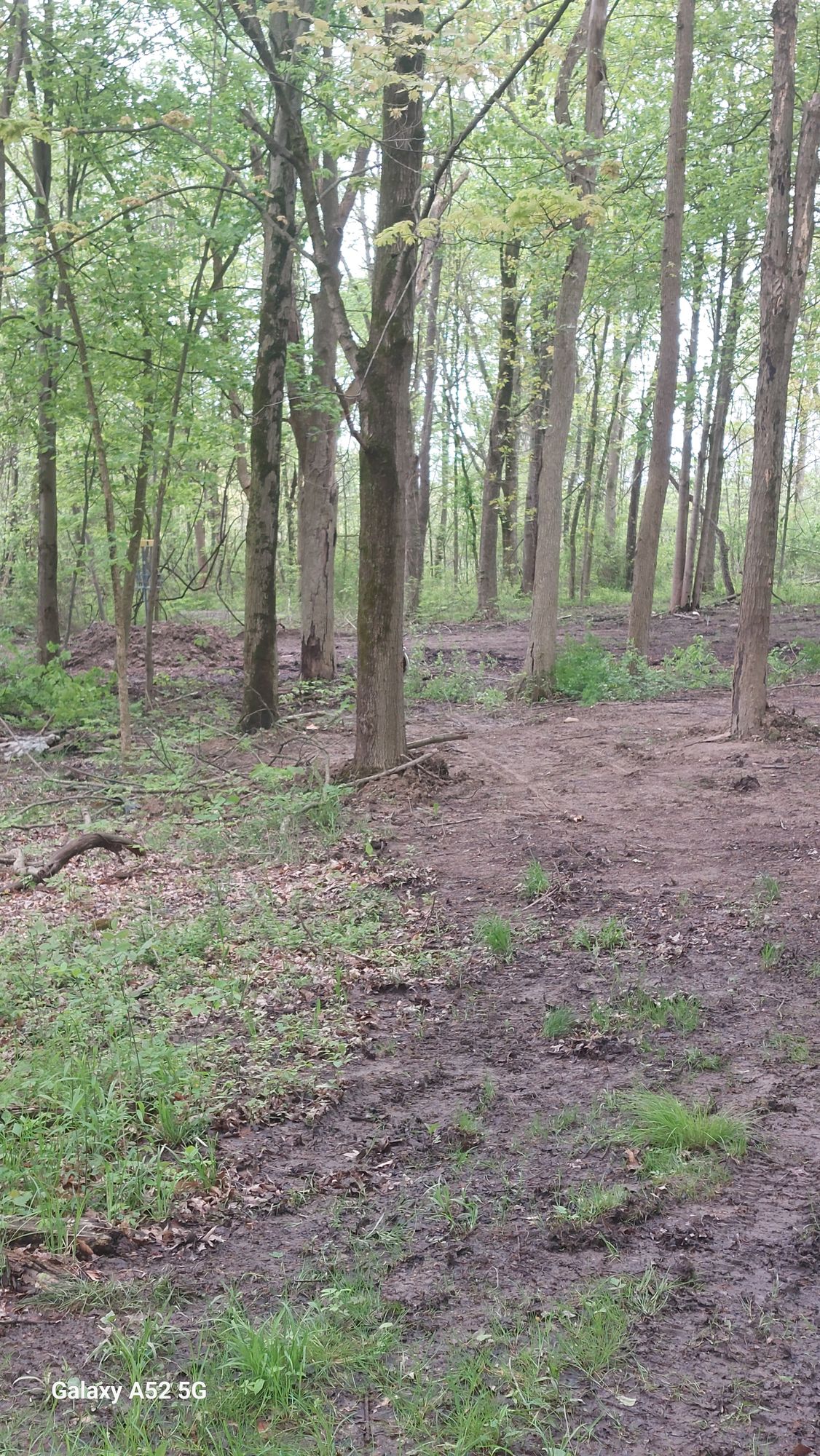 Hole 8,  dogleg to the left