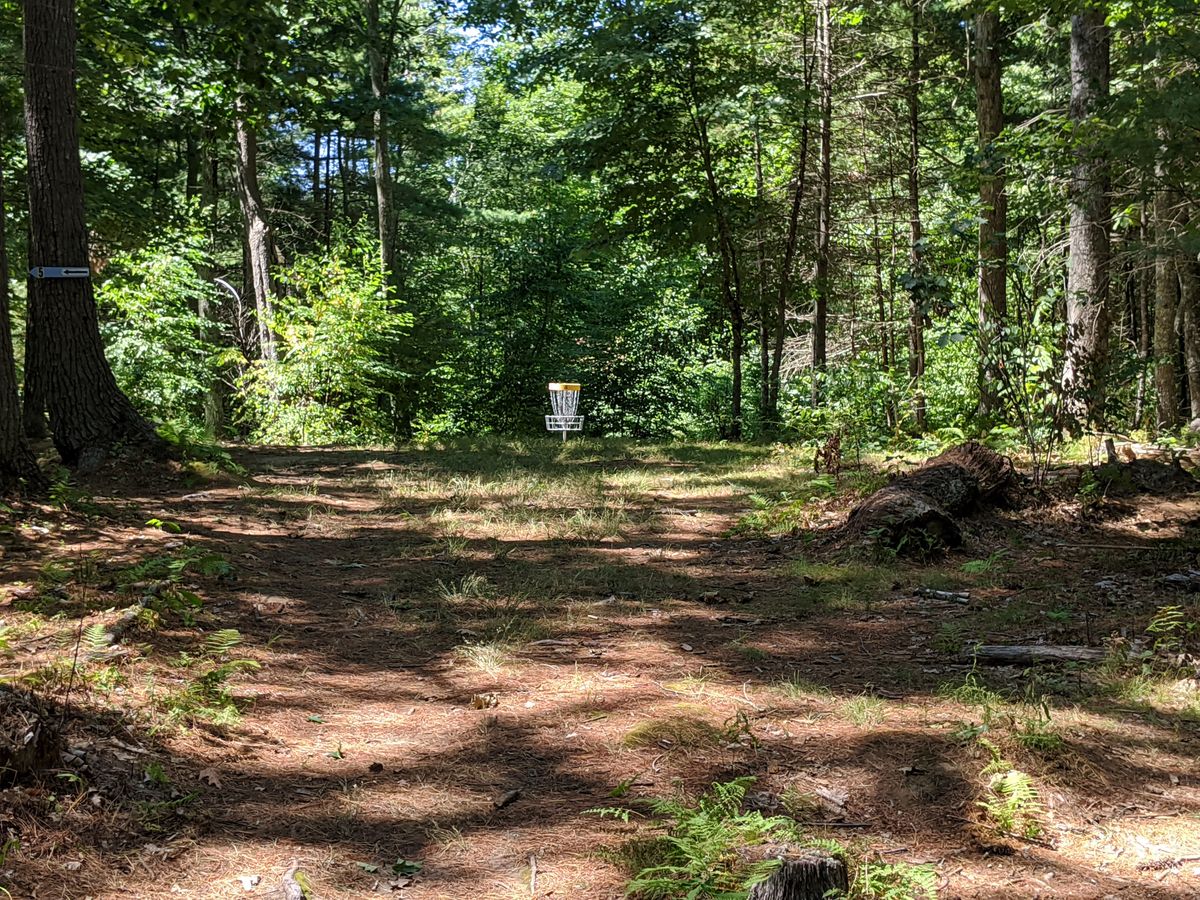 Hole 4