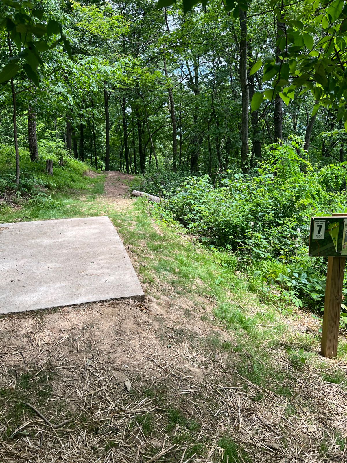 Hole 7