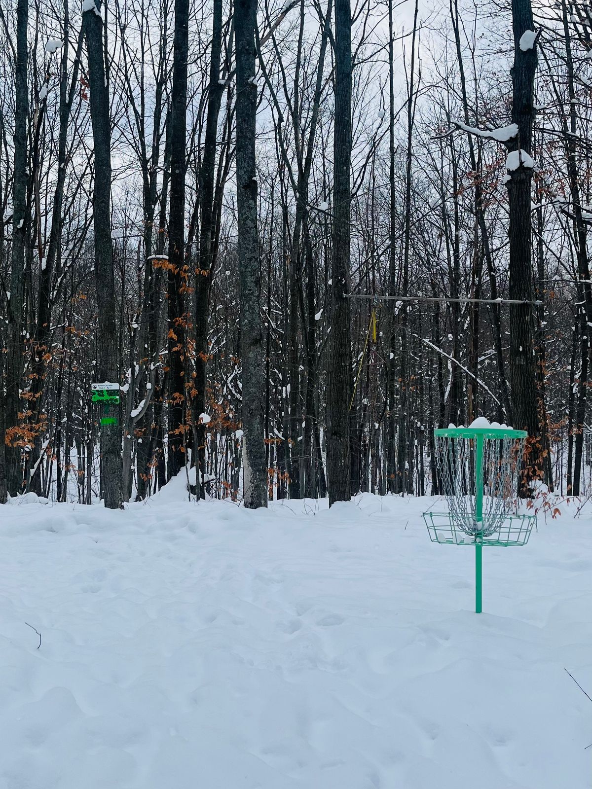 Hard to find discs today!
