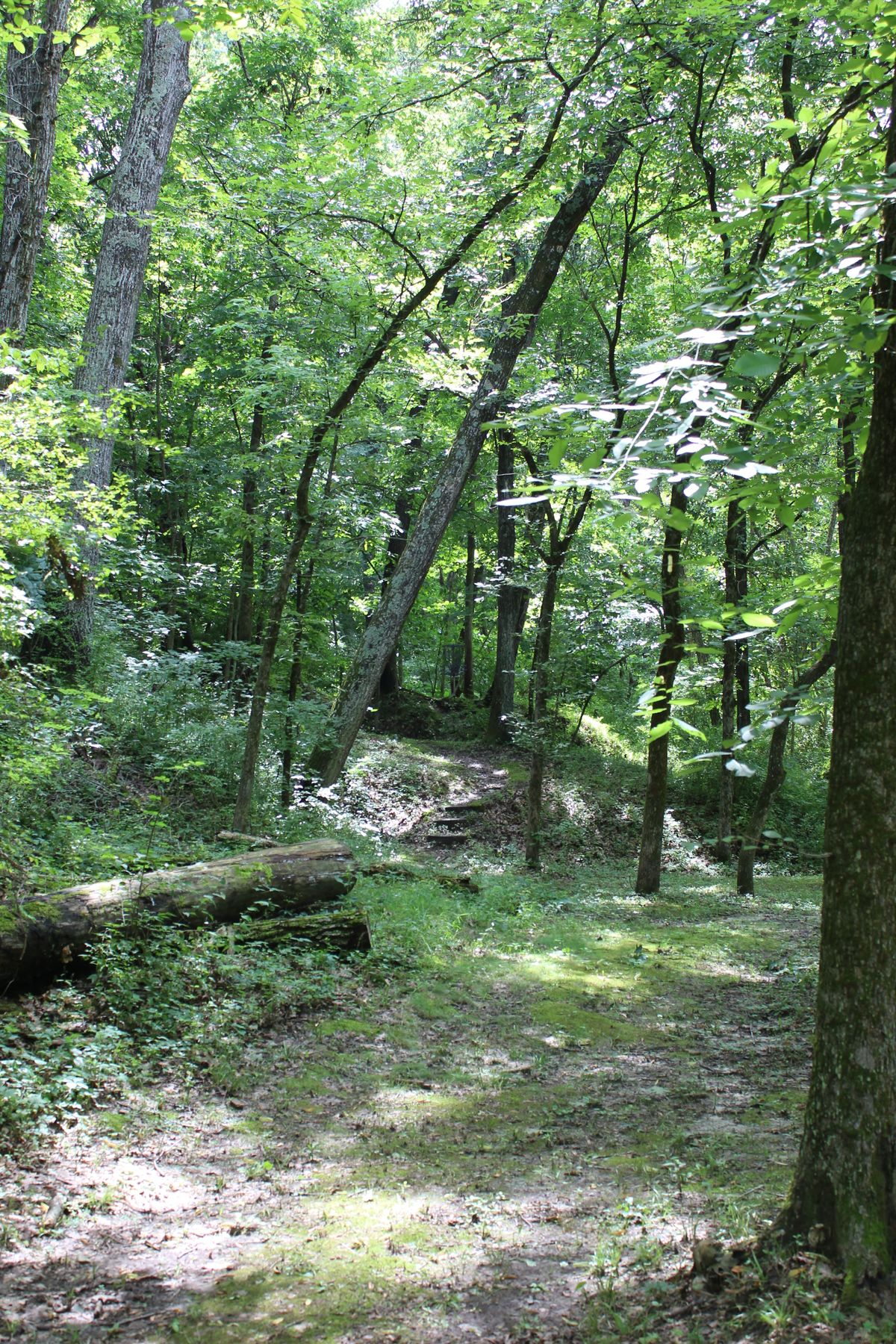 Hole 2 (Basket)