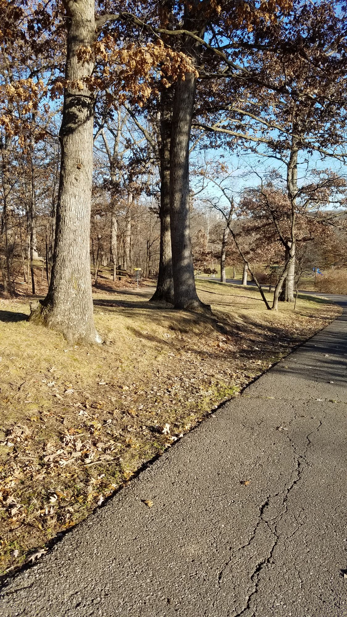 Half way to basket on hole #5.