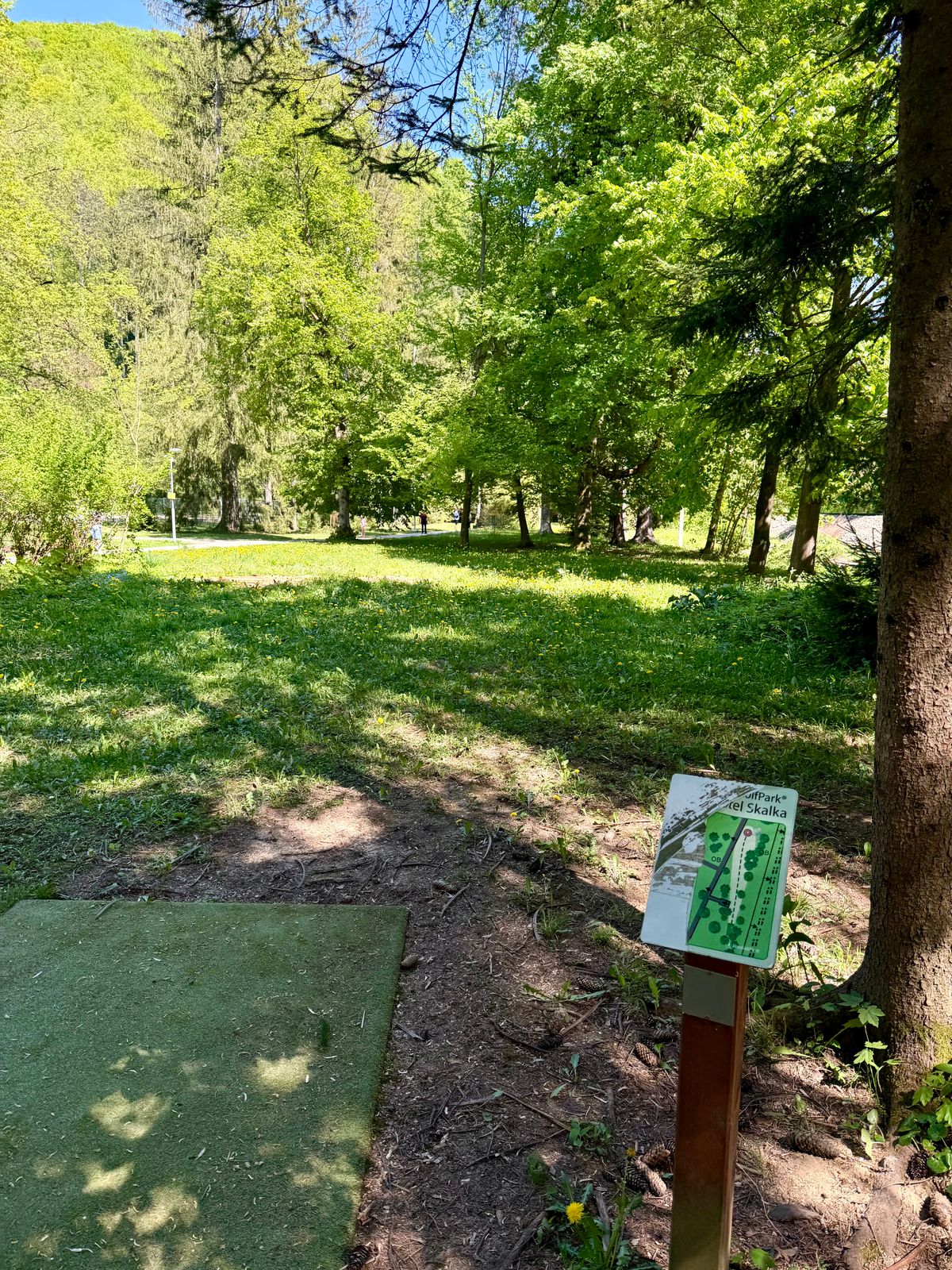 Hole 8