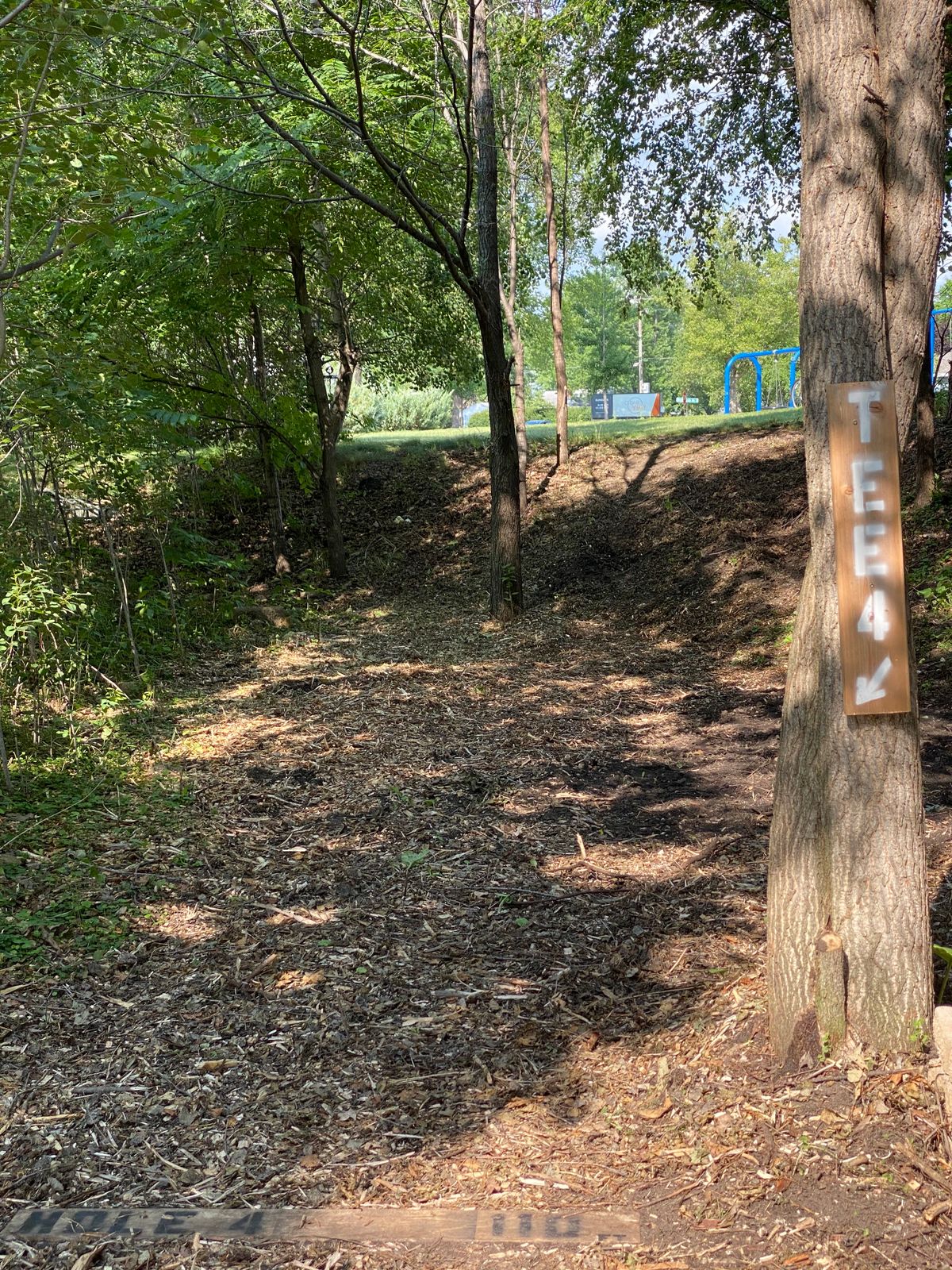 Hole 4 view from tee pad