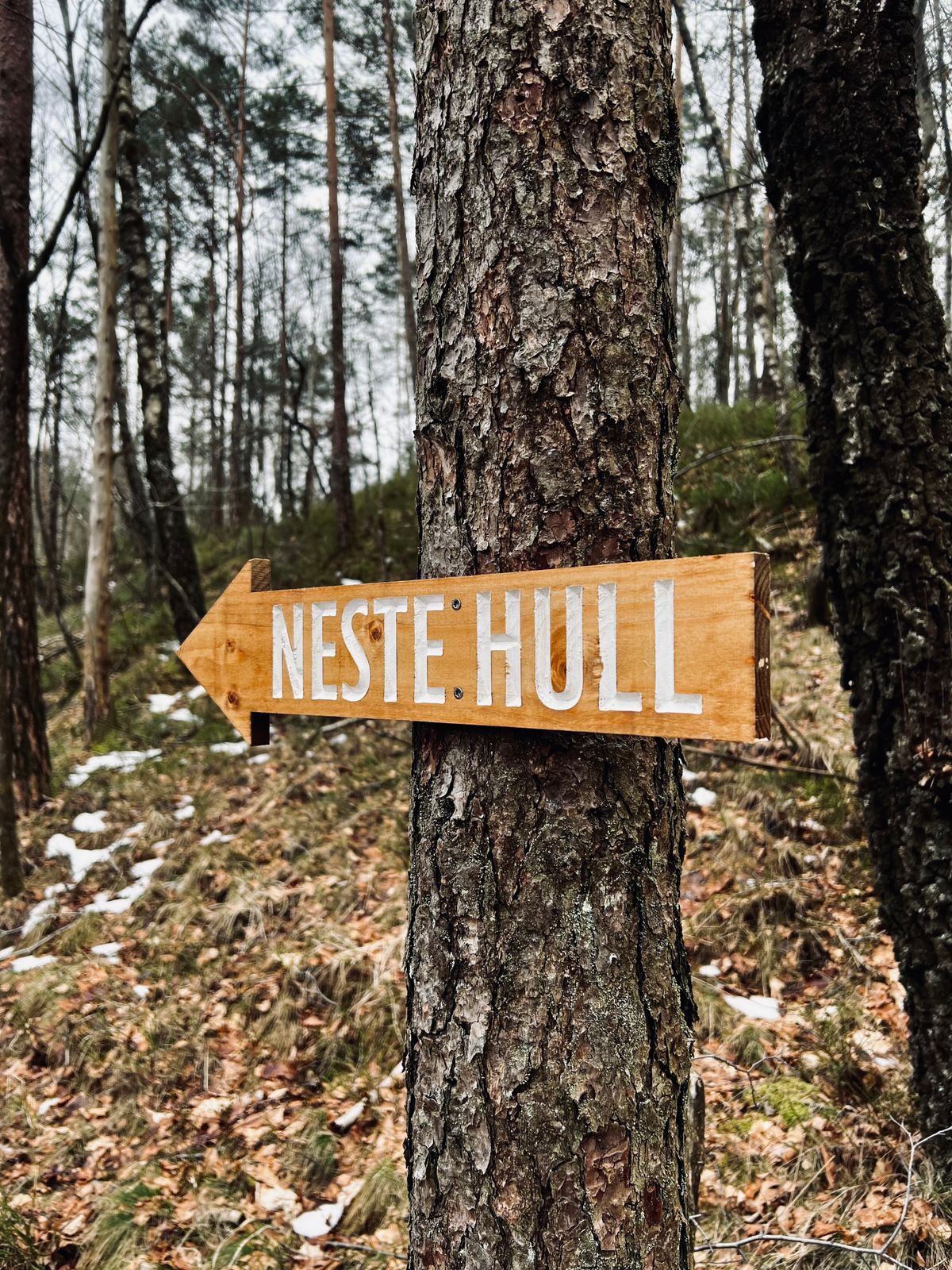Hele banen har fått slike skilt som viser vei