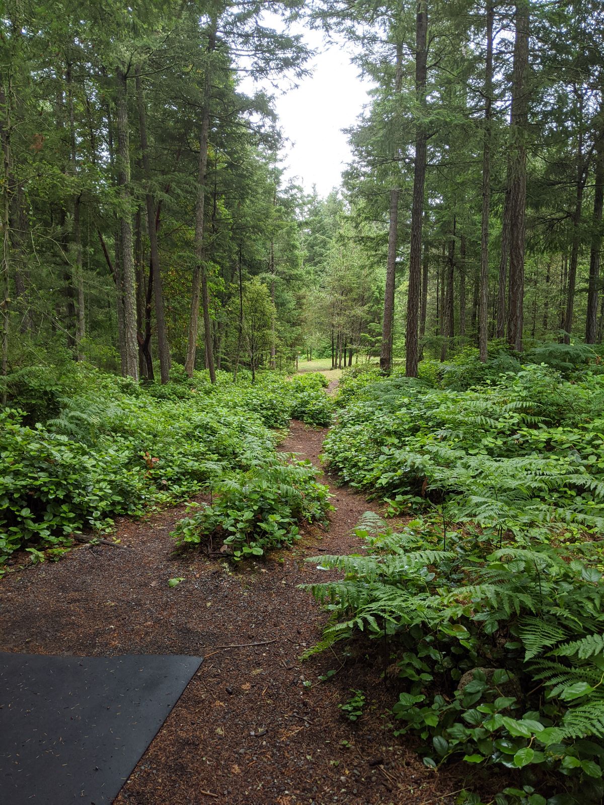 Hole 3