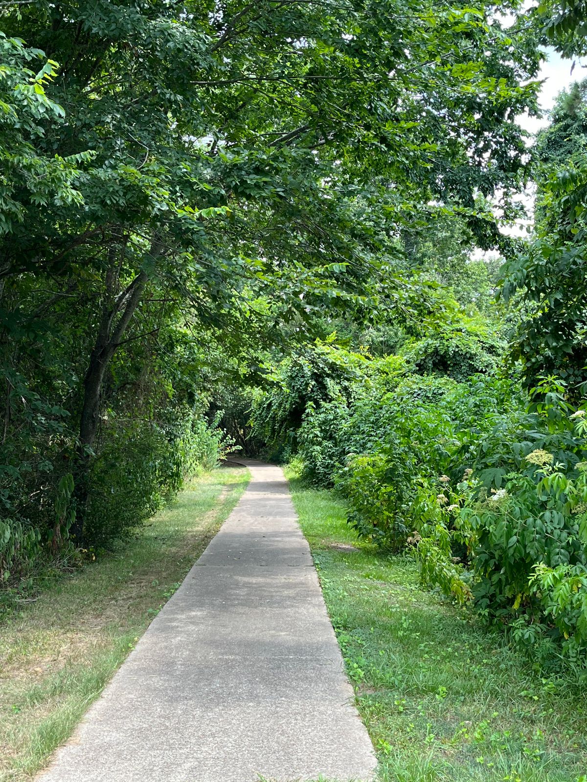 Trail to Tee 5.